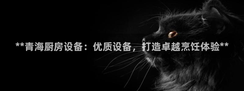 凯时尊龙平台登录：**青海厨房设备：优质设备，打造卓越烹饪体