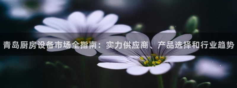 尊龙凯时：青岛厨房设备市场全指南：实力供应商、产品选择和行业