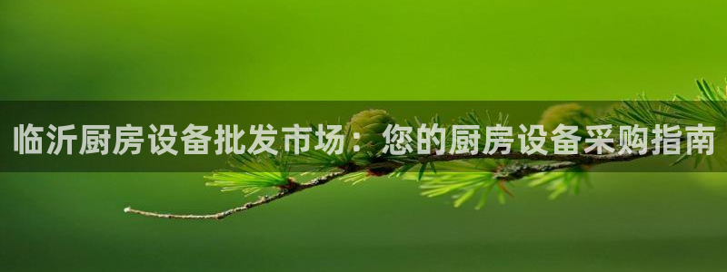 d88尊龙平台开户：临沂厨房设备批发市场：您的厨房设备采购指