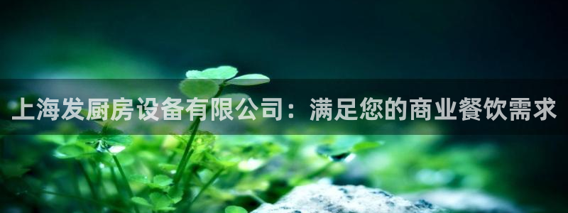 尊龙人生就是博旧版现：上海发厨房设备有限公司：满足您的商业餐