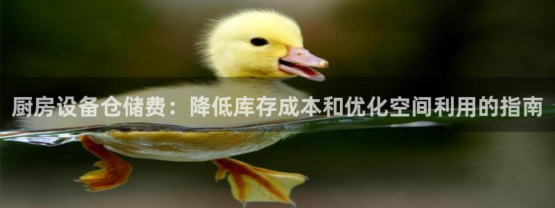 尊龙旗舰厅：厨房设备仓储费：降低库存成本和优化空间利用的指南