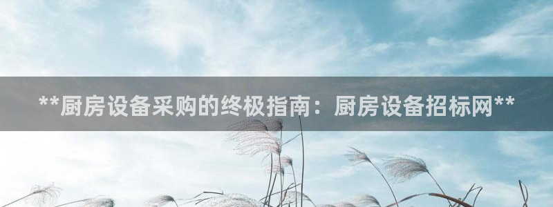 尊龙t600怎么样：**厨房设备采购的终极指南：厨房设备招标