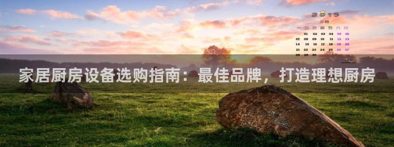 尊龙t600怎么样：家居厨房设备选购指南：最佳品牌，打造理想