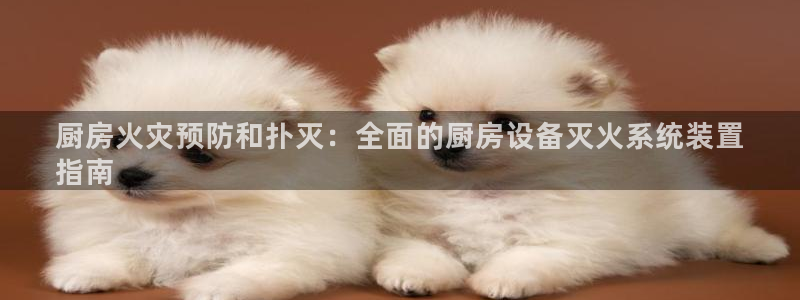凯时游戏官方网站：厨房火灾预防和扑灭：全面的厨房设备灭火系统