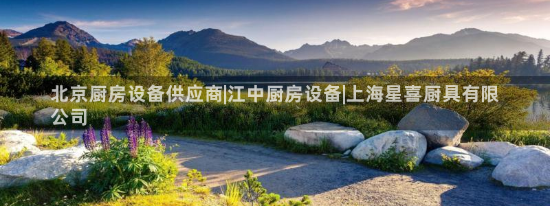 尊龙官网网页版：北京厨房设备供应商|江中厨房设备|上海星喜厨