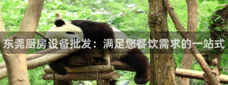 尊龙人生就是博l：东莞厨房设备批发：满足您餐饮需求的一站式