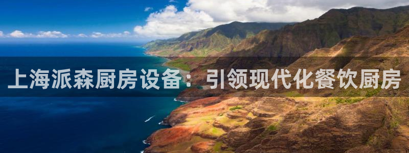 凯时kb88会员登录：上海派森厨房设备：引领现代化餐饮厨房