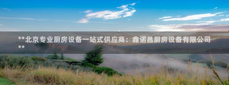 尊龙凯时有限公司：**北京专业厨房设备一站式供应商：鑫诺昌厨