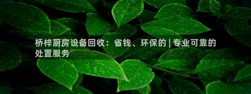 AG尊龙注册在线游戏：桥梓厨房设备回收：省钱、环保的 | 专