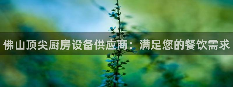 尊龙人生就是博送38：佛山顶尖厨房设备供应商：满足您的餐饮需