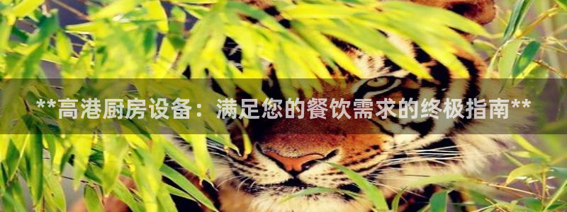 尊龙凯时游戏厅：**高港厨房设备：满足您的餐饮需求的终极指南