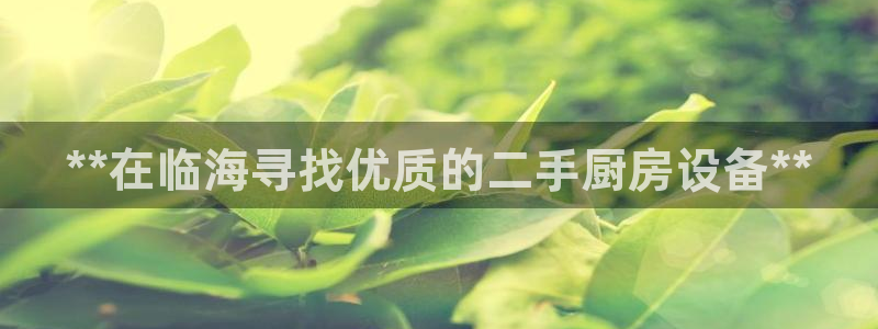 凯时kb88会员登录：**在临海寻找优质的二手厨房设备**