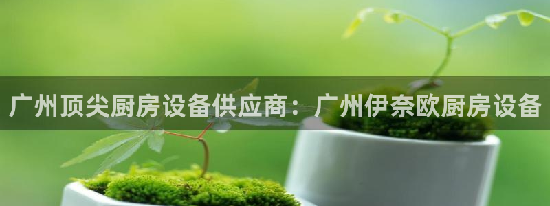 尊龙目前在哪：广州顶尖厨房设备供应商：广州伊奈欧厨房设备