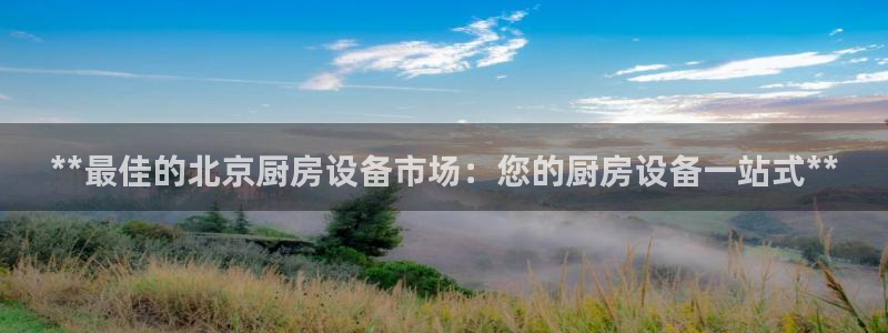 尊龙凯时的企业文化：**最佳的北京厨房设备市场：您的厨房设备