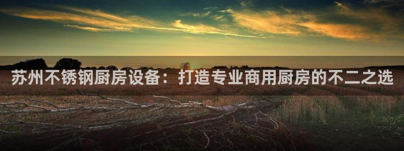 尊龙ag旗舰厅登录 租车app下载：苏州不锈钢厨房设备：打造