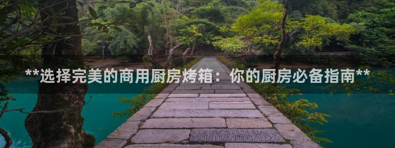 尊龙/人生就是博：**选择完美的商用厨房烤箱：你的厨房必备指