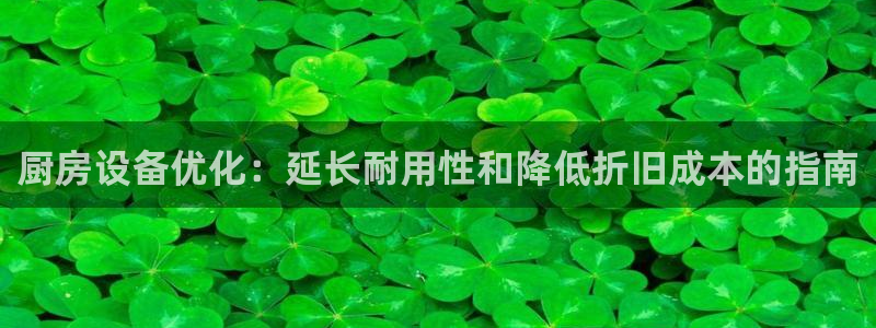 尊龙人生就是博菲律宾台子：厨房设备优化：延长耐用性和降低折旧