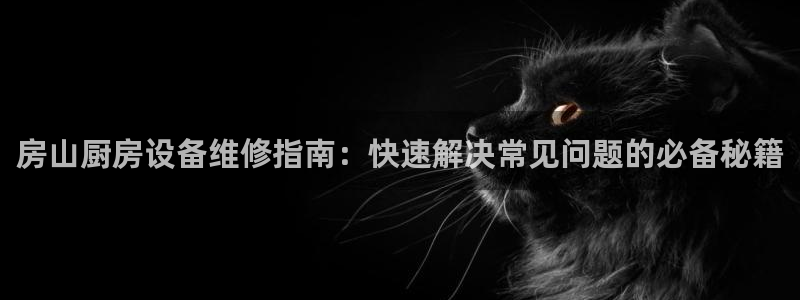 尊龙凯时平台入口：房山厨房设备维修指南：快速解决常见问题的必