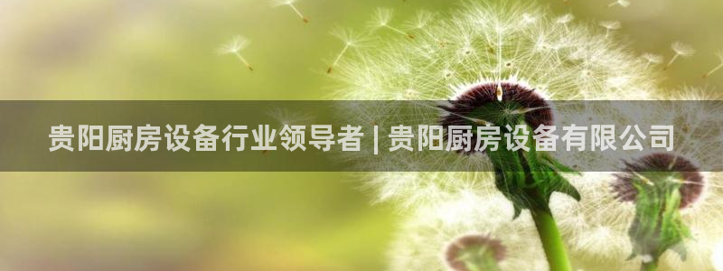 凯时网址多少：贵阳厨房设备行业领导者 | 贵阳厨房设备有限公
