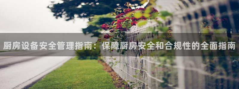 尊龙得过奥斯卡吗：厨房设备安全管理指南：保障厨房安全和合规性