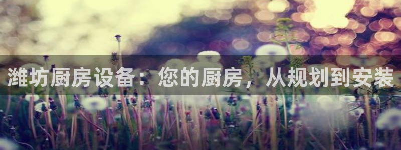 尊龙z6官网ag：潍坊厨房设备：您的厨房，从规划到安装