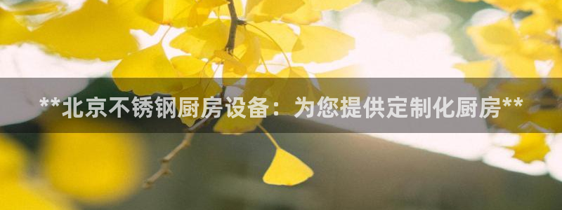 凯时游戏官方网站：**北京不锈钢厨房设备：为您提供定制化厨房