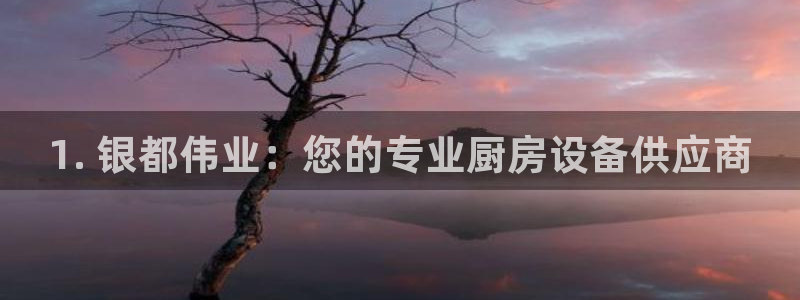 尊龙凯时平台还是万博好：1. 银都伟业：您的专业厨房设备供应