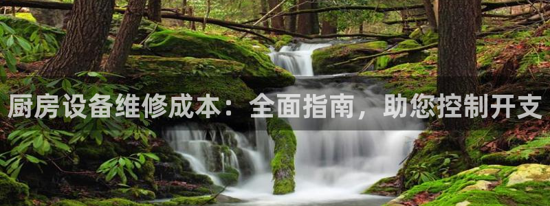 尊龙人生就是博AG旗舰厅：厨房设备维修成本：全面指南，助您控