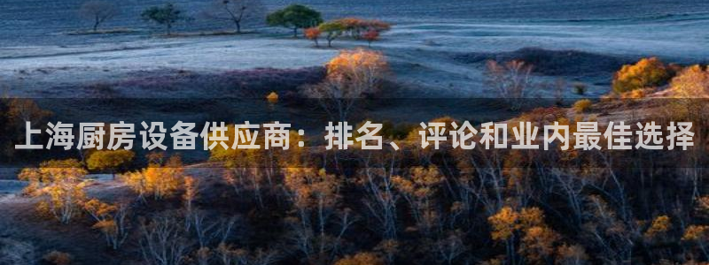 尊龙t400和尊龙t300区别：上海厨房设备供应商：排名、评