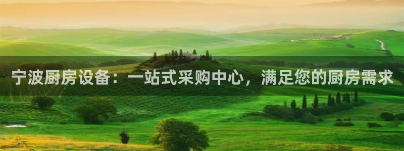 尊龙新版app首页：宁波厨房设备：一站式采购中心，满足您的厨