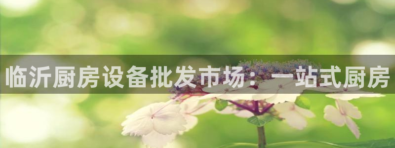 尊龙凯时能不能提现?：临沂厨房设备批发市场：一站式厨房
