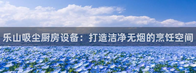 尊龙一生也走不出自己的童年：乐山吸尘厨房设备：打造洁净无烟的