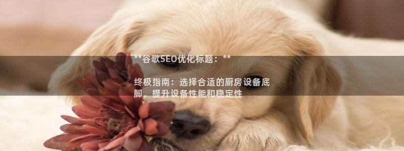 尊龙t600怎么样：**谷歌SEO优化标题：**

终极指南