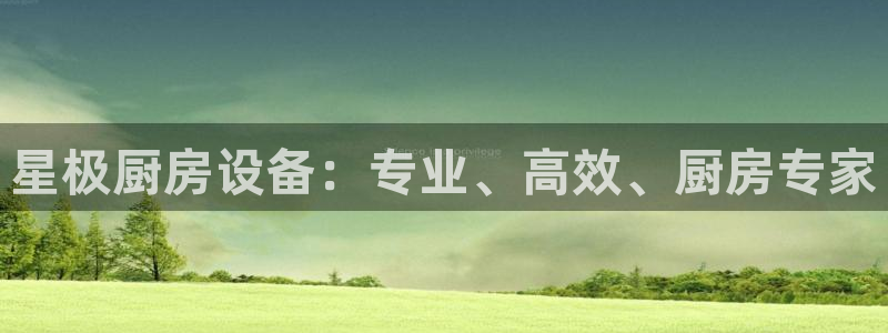 尊龙人生就是博l：星极厨房设备：专业、高效、厨房专家