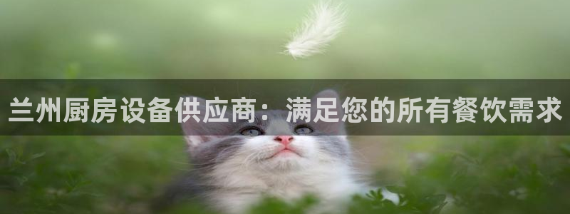 尊龙凯时官网平台：兰州厨房设备供应商：满足您的所有餐饮需求
