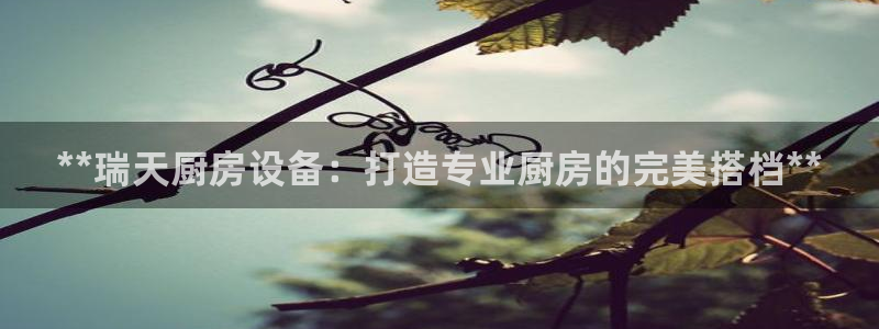 尊龙人生就是博菲律宾台子：**瑞天厨房设备：打造专业厨房的完