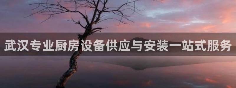 尊龙官网国际：武汉专业厨房设备供应与安装一站式服务