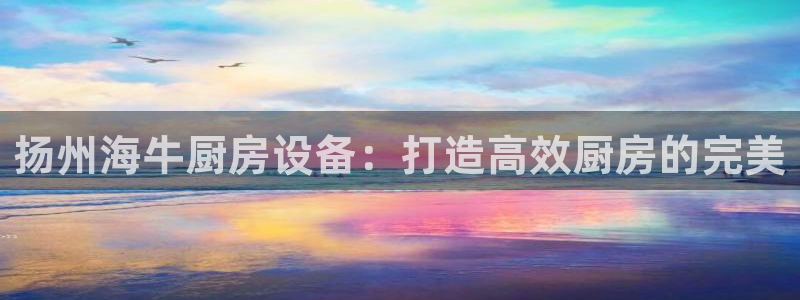 Z6尊龙老版：扬州海牛厨房设备：打造高效厨房的完美