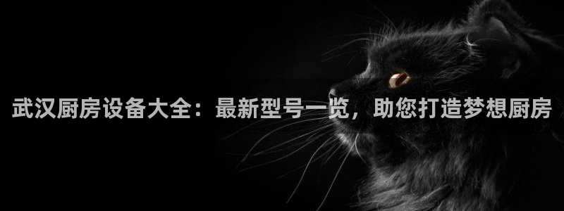 尊龙凯时城游戏官网：武汉厨房设备大全：最新型号一览，助您打造