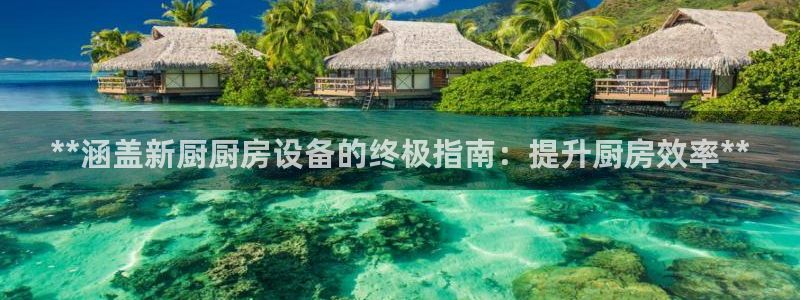 尊龙凯时人生就是搏·(中国)官网：**涵盖新厨厨房设备的终极
