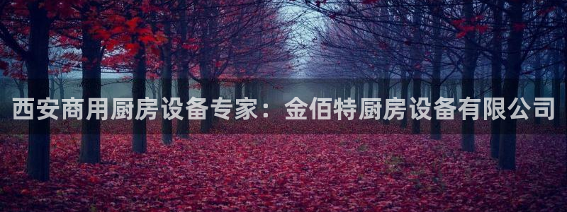 尊龙新版app首页：西安商用厨房设备专家：金佰特厨房设备有限