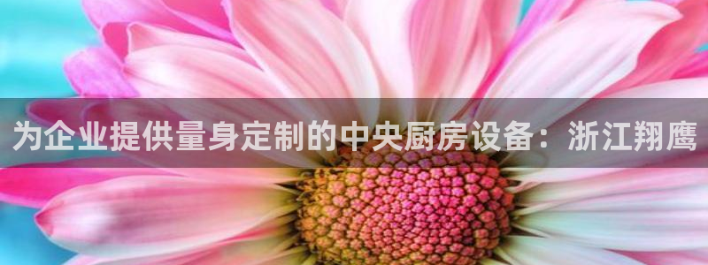 尊龙人生就是博登陆：为企业提供量身定制的中央厨房设备：浙江翔
