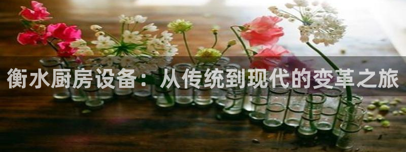 凯时平台官网RA来就送38：衡水厨房设备：从传统到现代的变革
