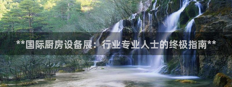 尊龙d88ag官方网站：**国际厨房设备展：行业专业人士的终