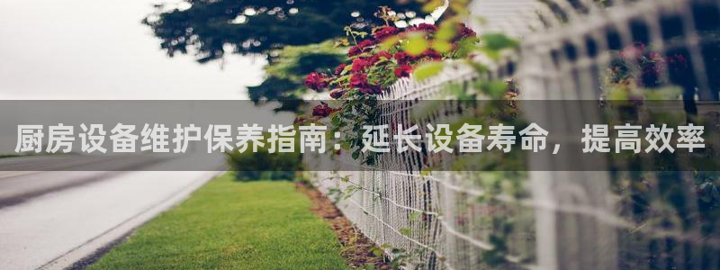 d88尊龙手机客户端下载：厨房设备维护保养指南：延长设备寿命