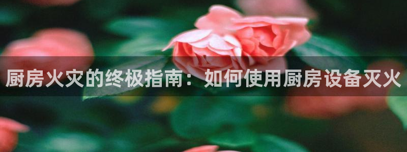尊龙人生就是博l：厨房火灾的终极指南：如何使用厨房设备灭火