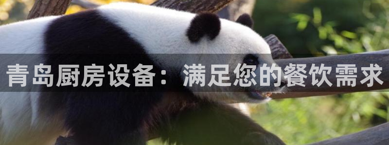 尊龙凯时logo：青岛厨房设备：满足您的餐饮需求
