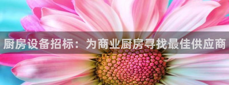 凯时k66登录：厨房设备招标：为商业厨房寻找最佳供应商
