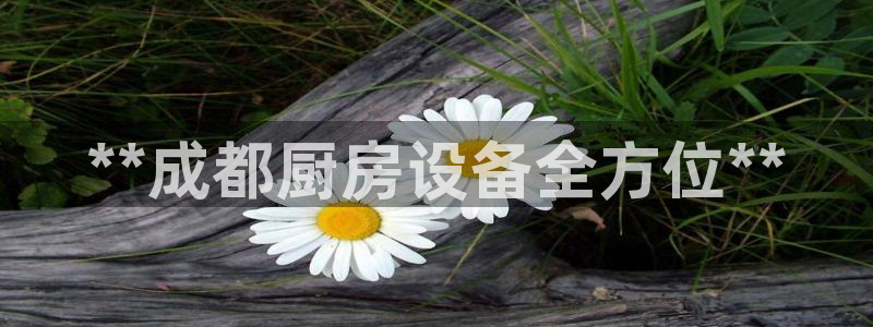 d88尊龙z6：**成都厨房设备全方位**