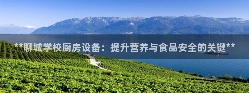 尊龙凯时白家乐Abb下载：**聊城学校厨房设备：提升营养与食